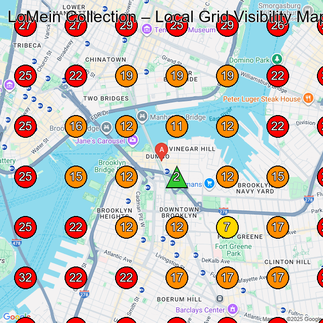 LoMein Collection GeoGrid visibility map for Clothing Store in Brooklyn
